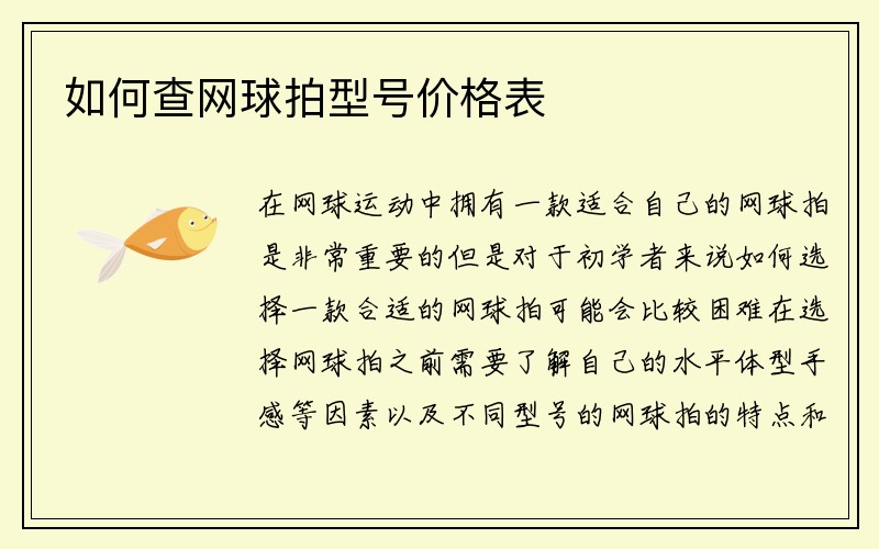 如何查网球拍型号价格表