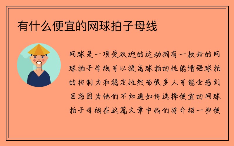 有什么便宜的网球拍子母线