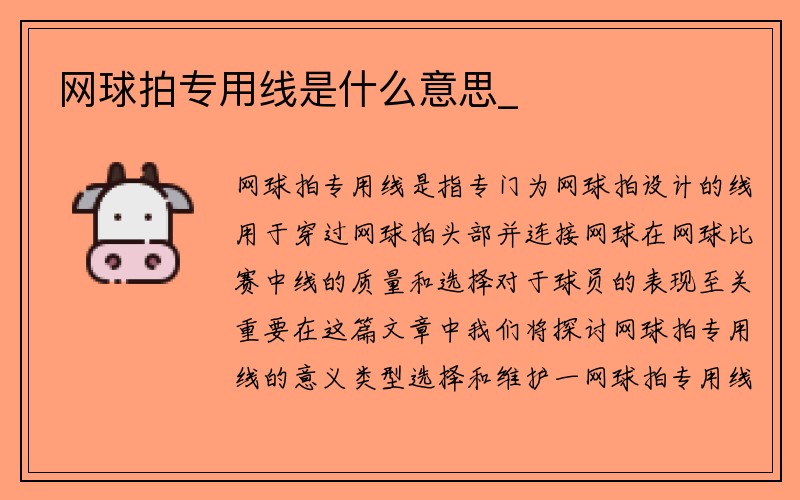 网球拍专用线是什么意思_