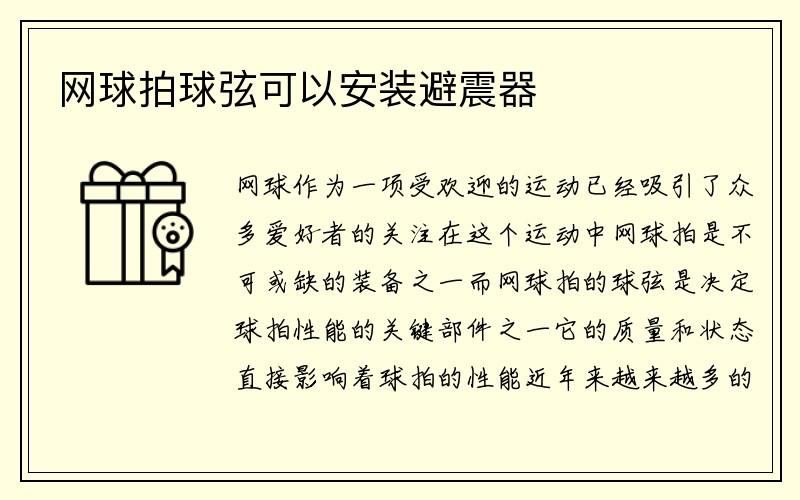 网球拍球弦可以安装避震器